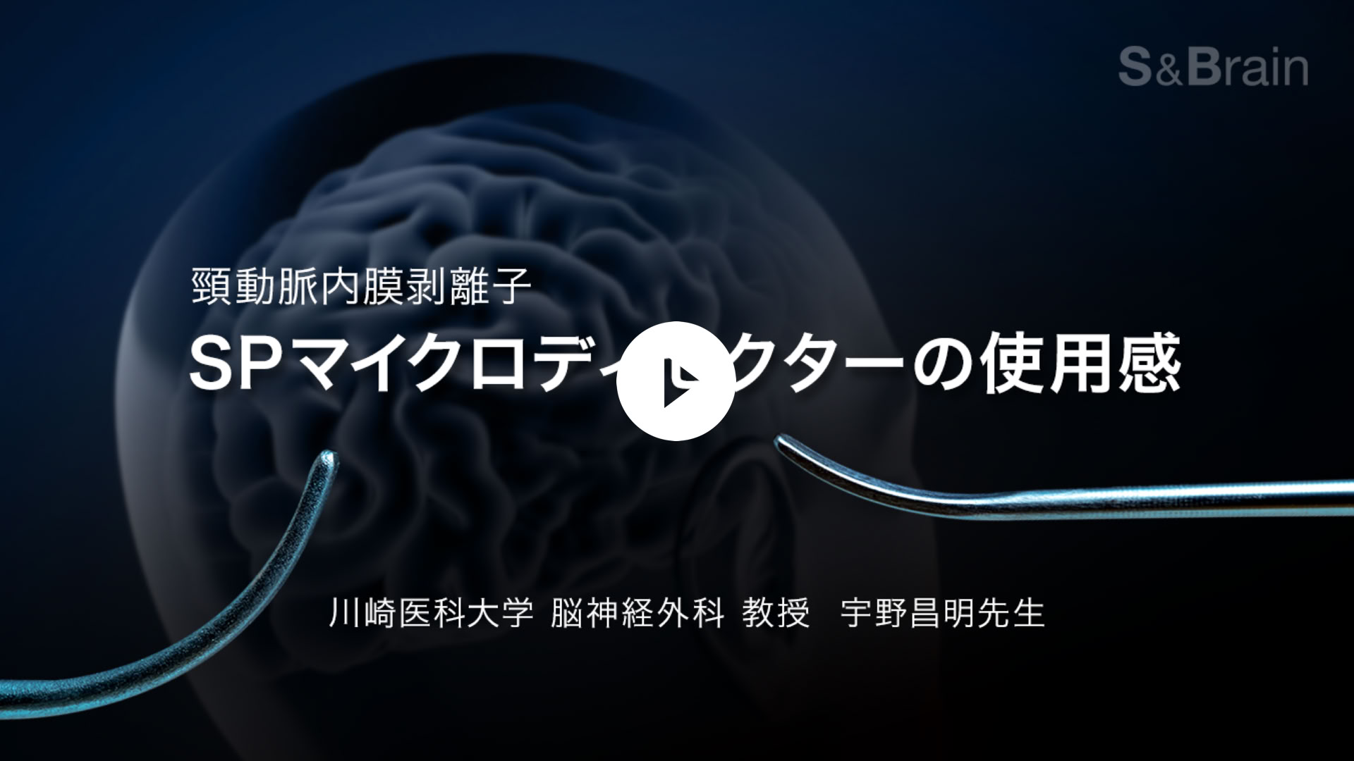 動画を再生